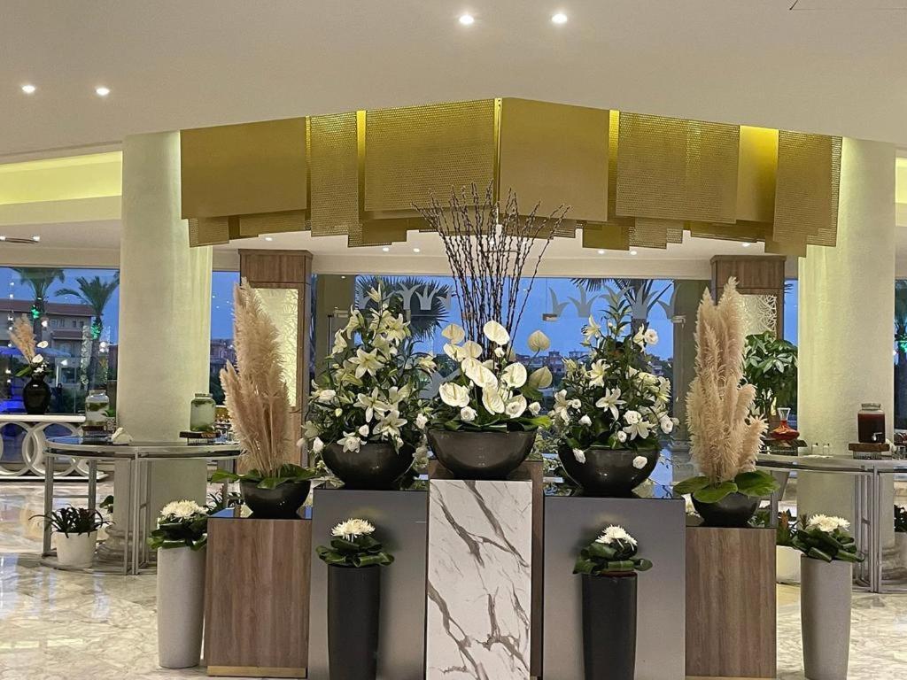Ghazala Resort And Spa El Alamein Exterior photo
